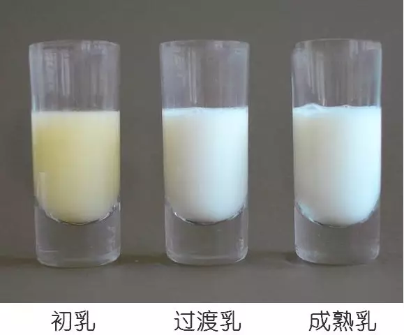 母乳營養(yǎng)成分檢測，母乳分析儀的好處您知多少？