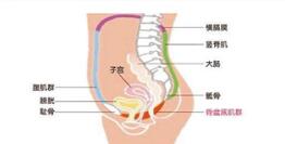 十個女性有九個都不知道產(chǎn)后康復治療儀的作用