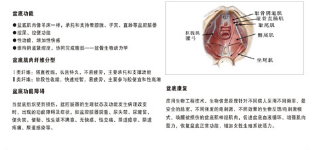 產(chǎn)后恢復中心加盟，做月子不再是一蹴而就