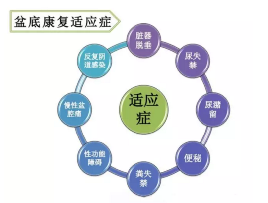 都在想盆底康復治療儀品牌，為何別人看的是盆底康復治療儀的功效與作用