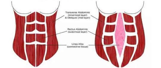 熱門話題之產(chǎn)后腹直肌分離如何康復，腹直肌修復儀器功不可沒