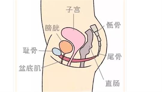 通澤便攜產(chǎn)后康復治療儀，促進產(chǎn)后快速恢復