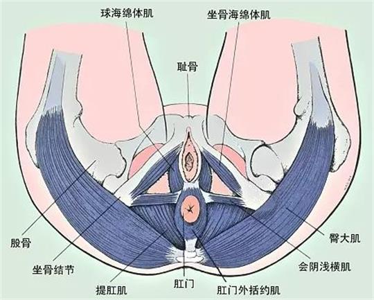 產(chǎn)康門店創(chuàng)業(yè)，開展什么產(chǎn)康項(xiàng)目合適呢？