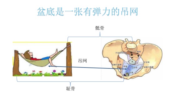 女性盆底康復(fù)要及時，否則抱憾終身，婦科盆底康復(fù)治療儀幫到您