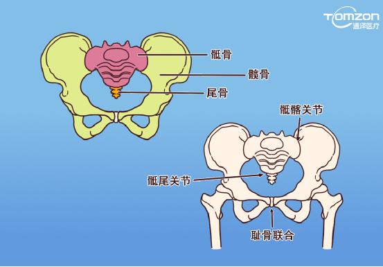 盆底肌康復(fù)儀能不能呵護(hù)健康？