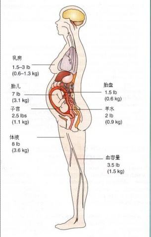 盆底肌康復