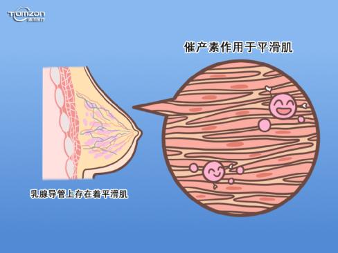 盆底肌修復(fù)儀器.jpg